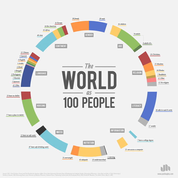 demographics infographic